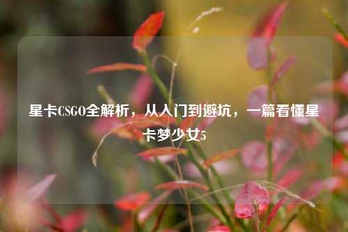 星卡CSGO全解析，从入门到避坑，一篇看懂星卡梦少女5