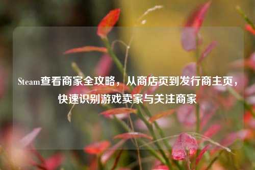 Steam查看商家全攻略，从商店页到发行商主页，快速识别游戏卖家与关注商家