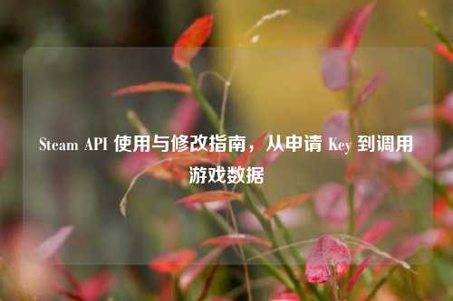 Steam API 使用与修改指南，从申请 Key 到调用游戏数据
