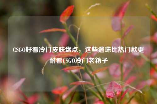 CSGO好看冷门皮肤盘点，这些遗珠比热门款更耐看CSGO冷门老箱子