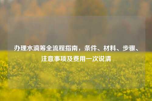办理水滴筹全流程指南,条件、材料、步骤、注意事项及费用一次说清