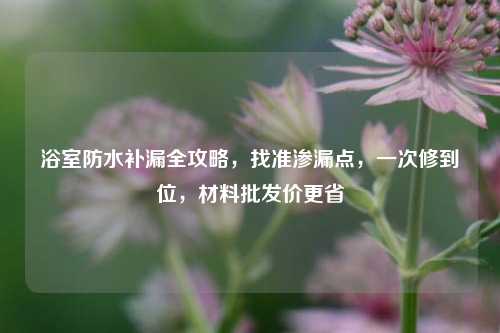 浴室防水补漏全攻略，找准渗漏点，一次修到位，材料批发价更省