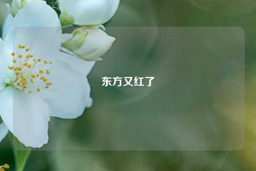 东方又红了