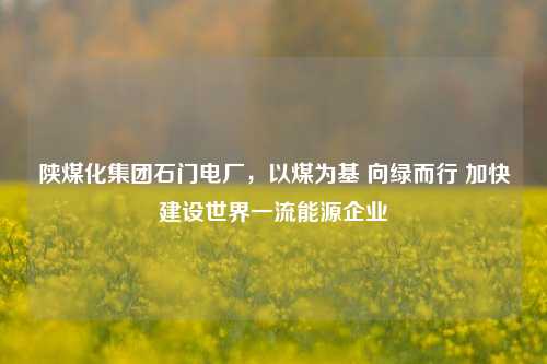 陕煤化集团石门电厂，以煤为基 向绿而行 加快建设世界一流能源企业