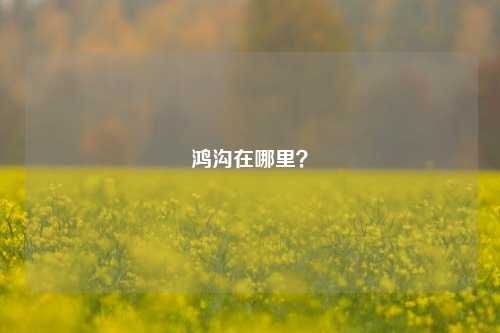 鸿沟在哪里?