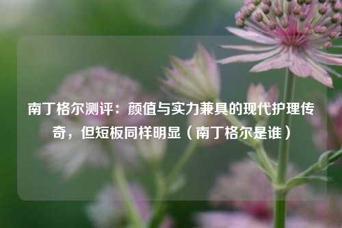南丁格尔测评：颜值与实力兼具的现代护理传奇，但短板同样明显（南丁格尔是谁）