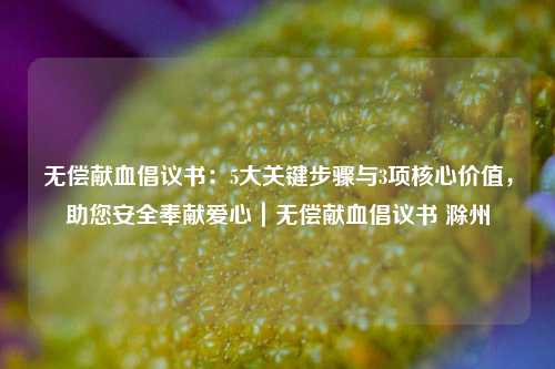 无偿献血倡议书：5大关键步骤与3项核心价值，助您安全奉献爱心｜无偿献血倡议书 滁州