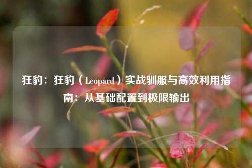 狂豹：狂豹（Leopard）实战驯服与高效利用指南：从基础配置到极限输出