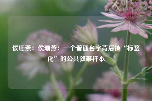 侯珊燕：侯珊燕：一个普通名字背后被“标签化”的公共叙事样本