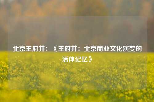 北京王府井：《王府井：北京商业文化演变的活体记忆》