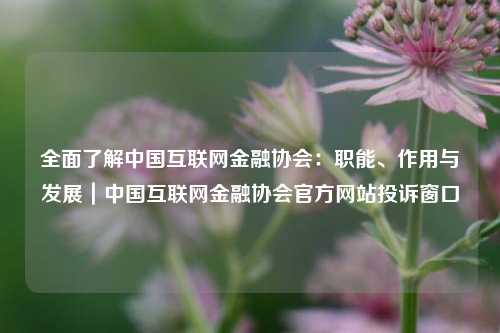 全面了解中国互联网金融协会：职能、作用与发展｜中国互联网金融协会官方网站投诉窗口