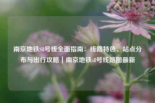 南京地铁S8号线全面指南:线路特色、站点分布与出行攻略|南京地铁s8号线路图最新