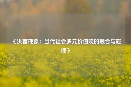 《洪蓉现象：当代社会多元价值观的融合与碰撞》
