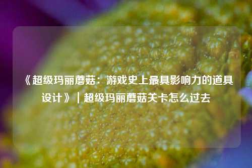 《超级玛丽蘑菇：游戏史上最具影响力的道具设计》｜超级玛丽蘑菇关卡怎么过去