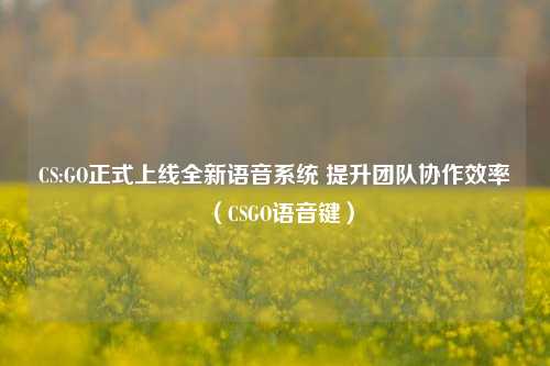 CS:GO正式上线全新语音系统 提升团队协作效率（CSGO语音键）