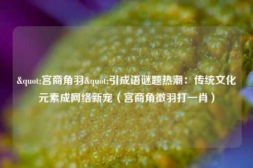 "宫商角羽"引成语谜题热潮：传统文化元素成网络新宠（宫商角徵羽打一肖）