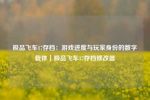 极品飞车17存档：游戏进度与玩家身份的数字载体｜极品飞车17存档修改器